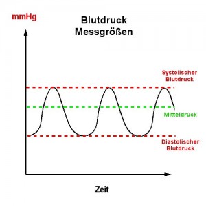 Blutdruck